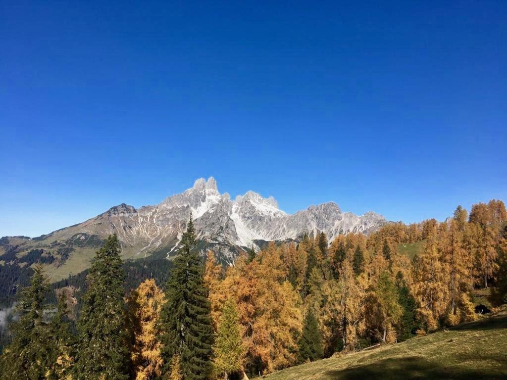 Appartementhaus Reiter Altenmarkt im Pongau Eksteriør billede