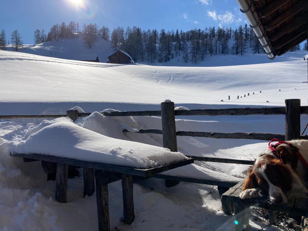 Appartementhaus Reiter Altenmarkt im Pongau Eksteriør billede